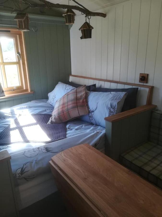 Gaggle Of Geese Pub - Shepherd Huts & Bell Tents Дорчестер Экстерьер фото