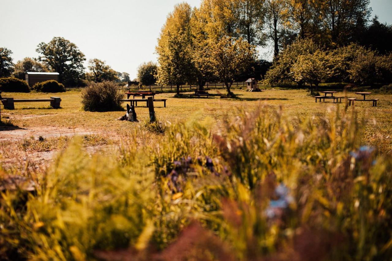 Gaggle Of Geese Pub - Shepherd Huts & Bell Tents Дорчестер Экстерьер фото